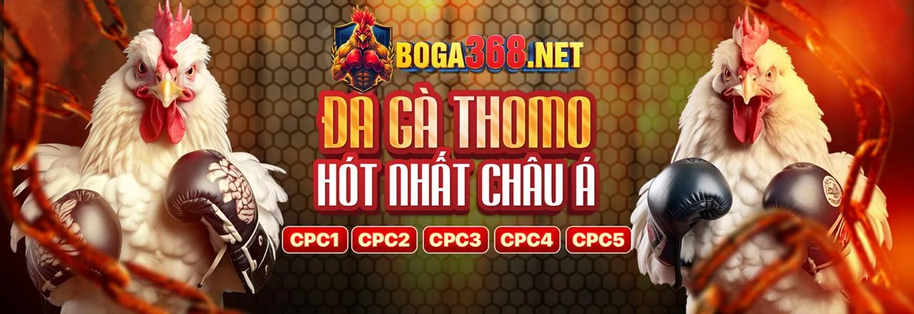 Tải ứng dụng đá gà Thomo mới nhất hôm nay